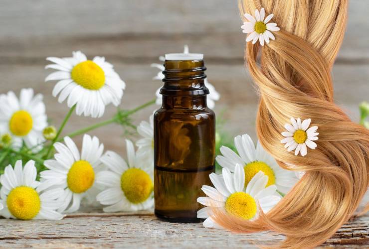 Fiori di camomilla capelli biondi