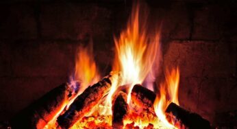 Ho scoperto 8 modi creativi e utilissimi per riutilizzare la cenere del camino in casa e nell’orto