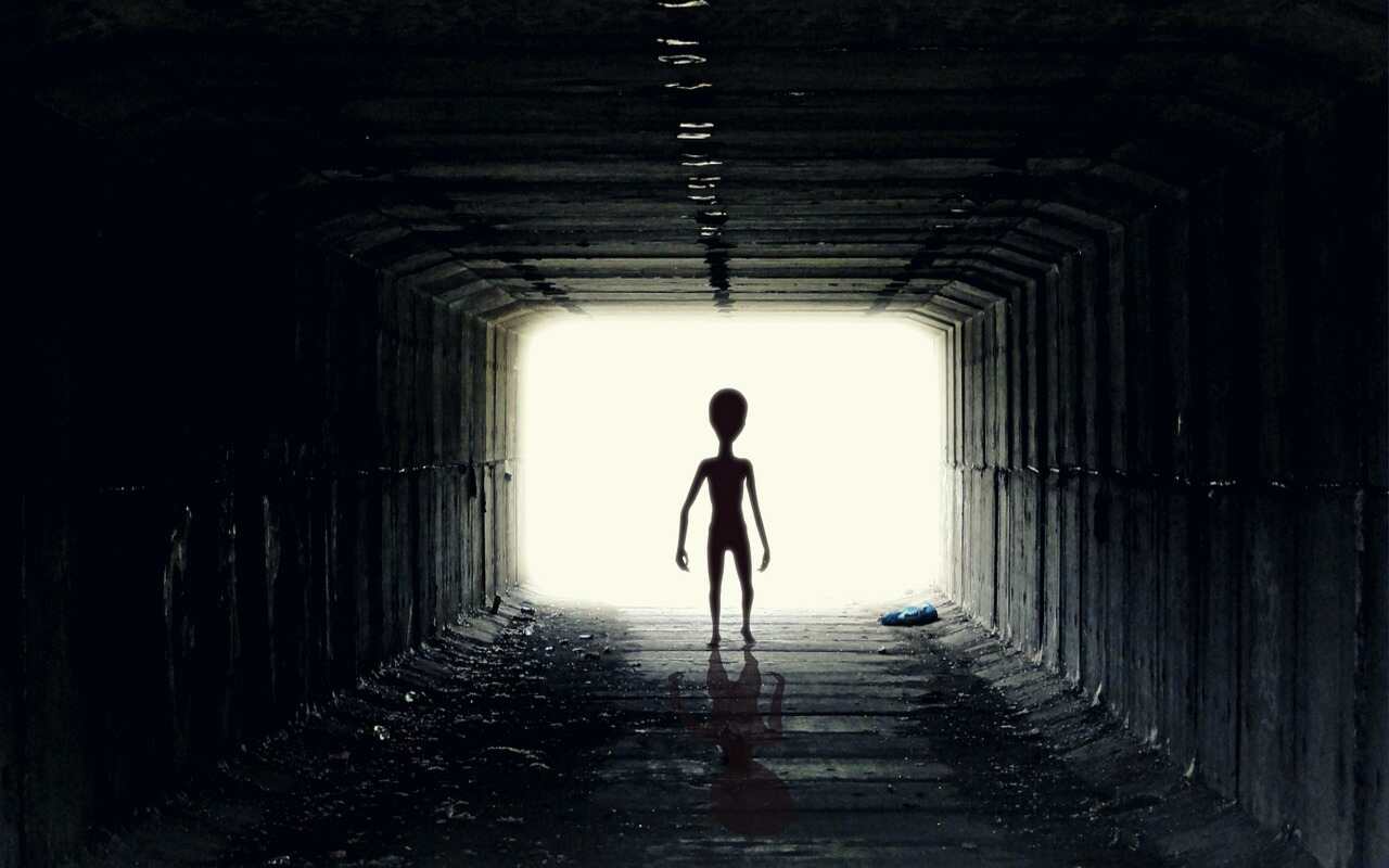 Alieno in una astronave